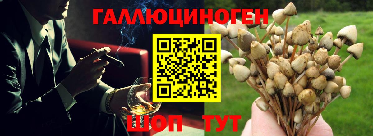 Серпухов  Псилоцибиновые грибы мухоморы  Галлюциногенные грибы прущие грибы  Вход с VPN 